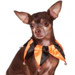 Colar Palhaço Halloween Para Cachorros G