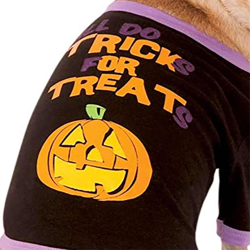 Fantasia Moletom Halloween Para Cachorros
 P