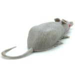 Rato de Borracha