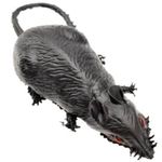 Rato de Borracha