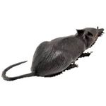 Rato de Borracha
