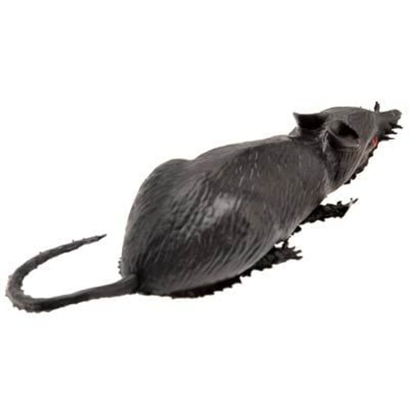 Rato de Borracha