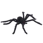 Aranha PelúciA - Cromus - 1 UNUn