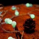Pisca Pisca com 100 Leds Bola Verde 8 Funções Cordão Incolo 6m 120V