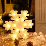 Luminoso Floco de Neve 12 Leds Branco 2 AA (Hollywood)