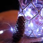 Pisca Pisca com 30 Leds Branco Cordão de Arame 2,94m 2 Pilha