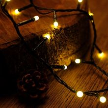 Pisca com 100 Leds Branco Quentes Cordão Verde 120V Macho e Fêmea