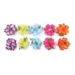 Pulseiras Havaianas - 1 unidade