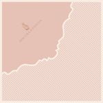 Express Lavie Foundant 35x35 - 25 un