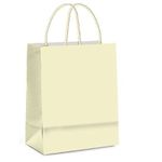 Sacola 21.5x15x8 cm de Papel Laminada - Perola Metalizado Fosco - 10 unidades - Cromus Atacado
