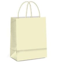 Sacola 21.5x15x8 cm de Papel Laminada - Perola Metalizado Fosco - 10 unidades - Cromus Atacado