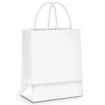 Sacola de Papel G 32x26,5x13cm - Branco - 10 unidades - Cromus