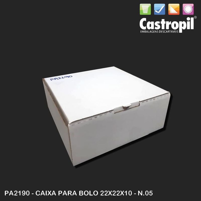 Caixa Papelao P/Bolo 22X22X10 N.05 C/25