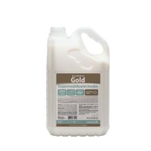 AUDAX IMPERMEABILIZANTE GOLD INCOLOR C/5LT