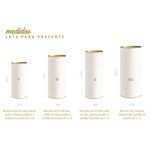 18700074-papainoel