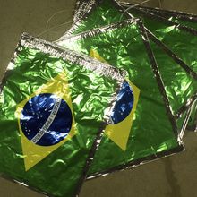 Varal de Bandeirinhas Brasil - Enfeite Para Copa Metálico - 44cm x 36,5cm - 10 Metros - 1 unidade - Magazine 25