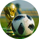 Copa do mundo